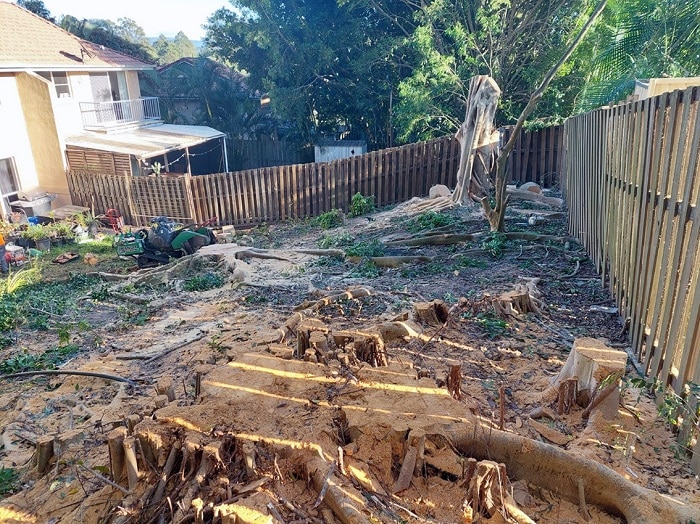 Large Stump Removal Gold Coast 